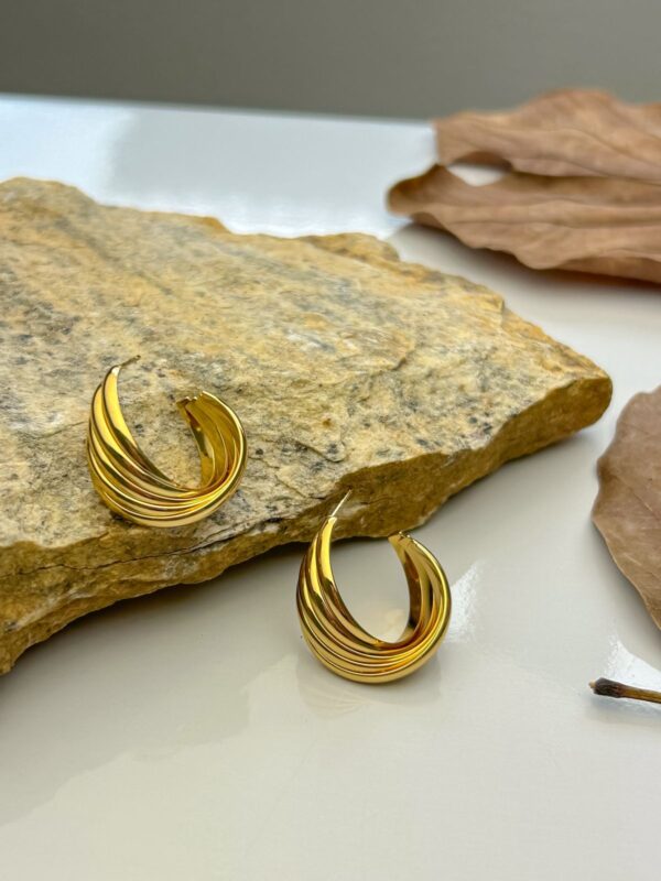 Argola Detalhe - Imagem 2