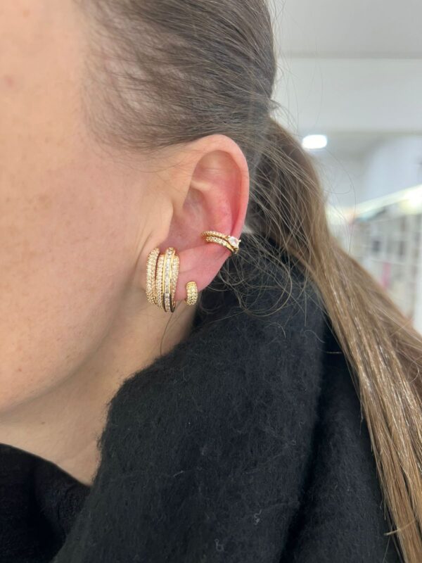 Brinco Ear Hook