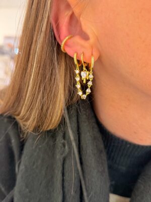 Brinco Ear Line